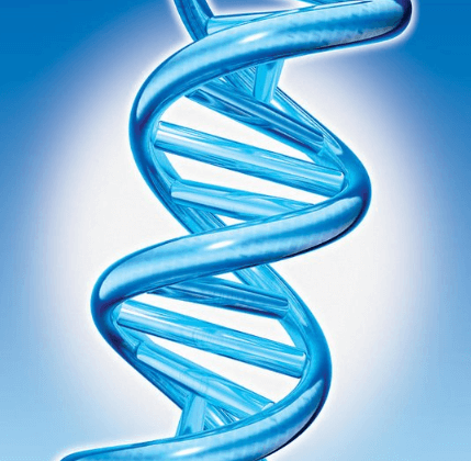 Dobbelt helix DNA streng